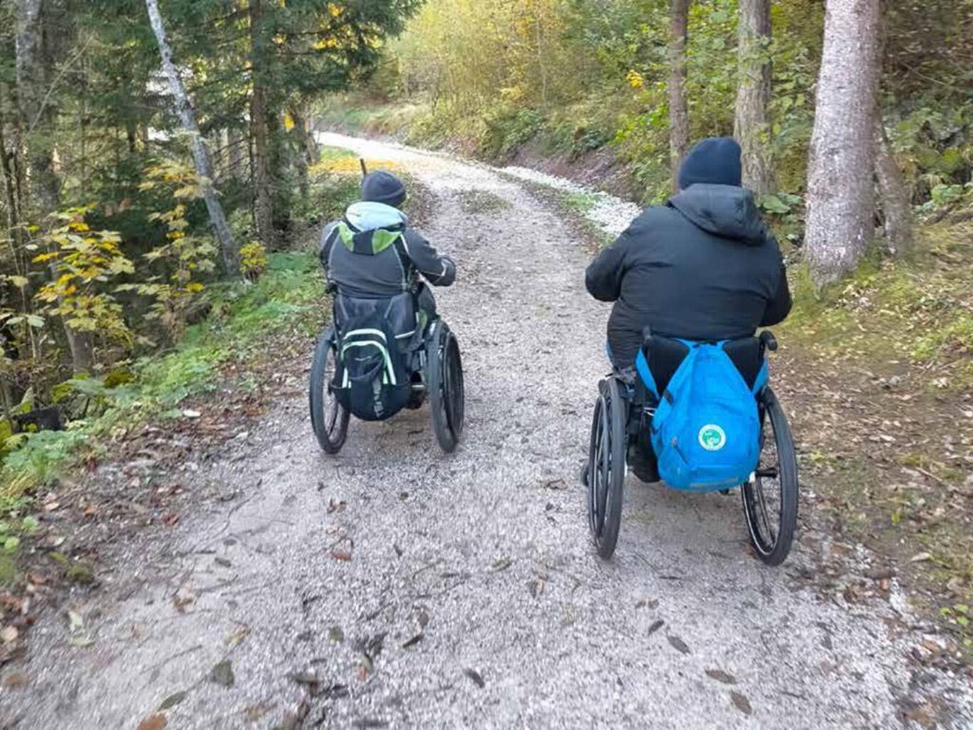 Dream Park - accessible path