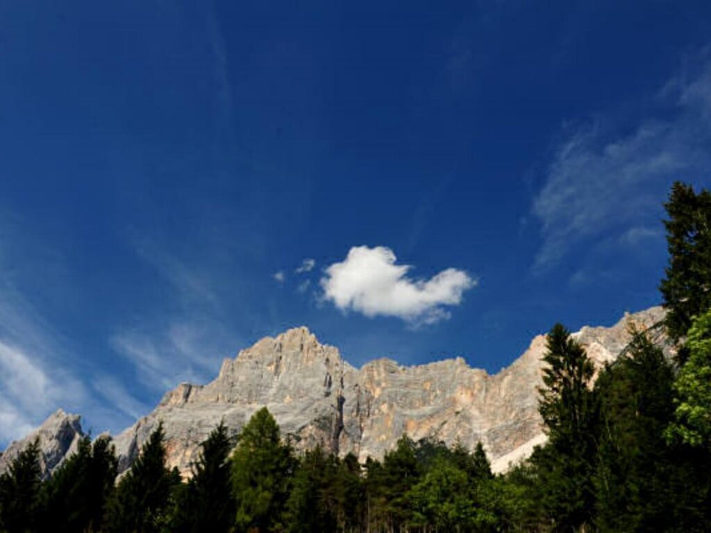 monte
