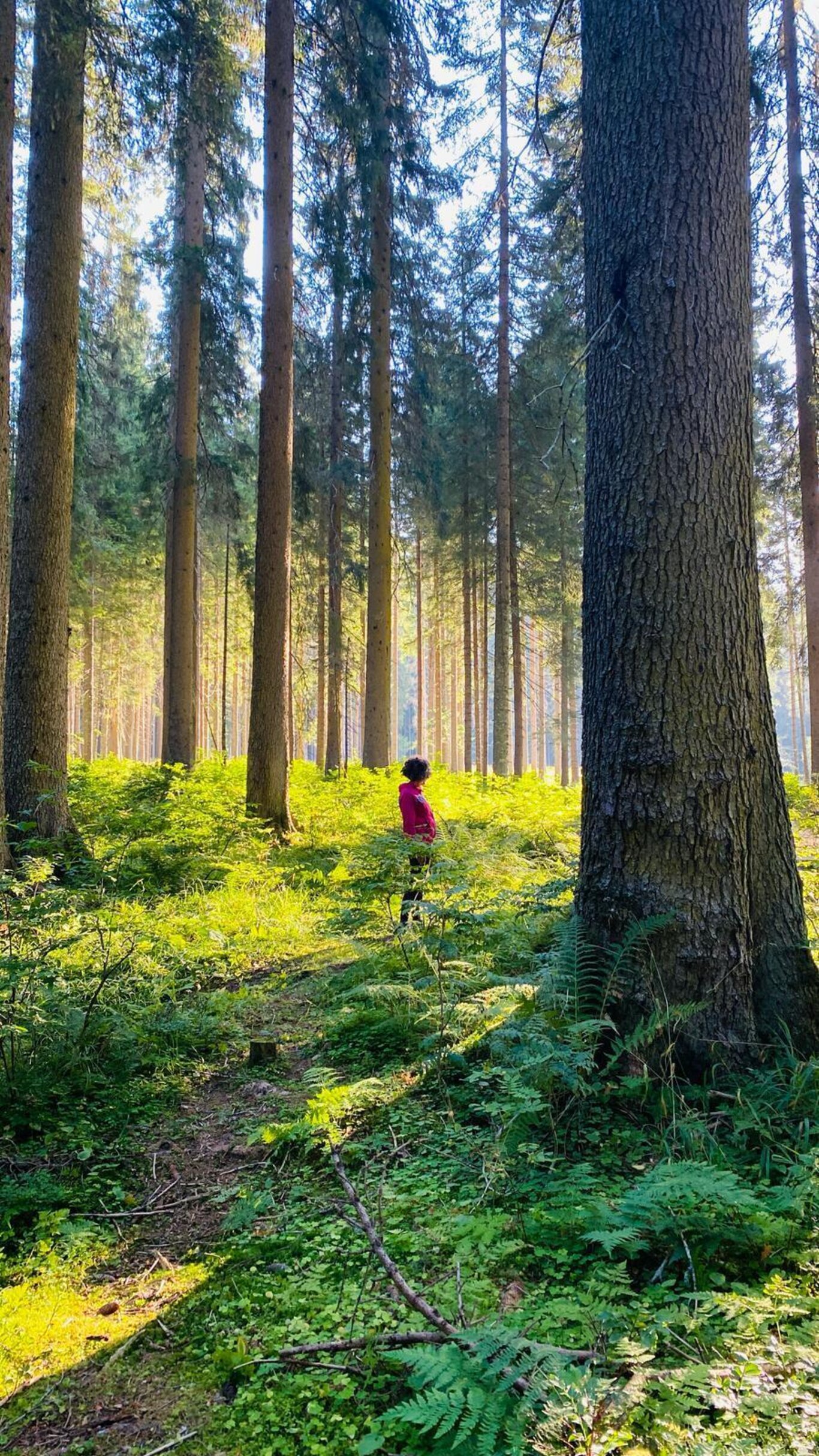 Relax, reset, restart