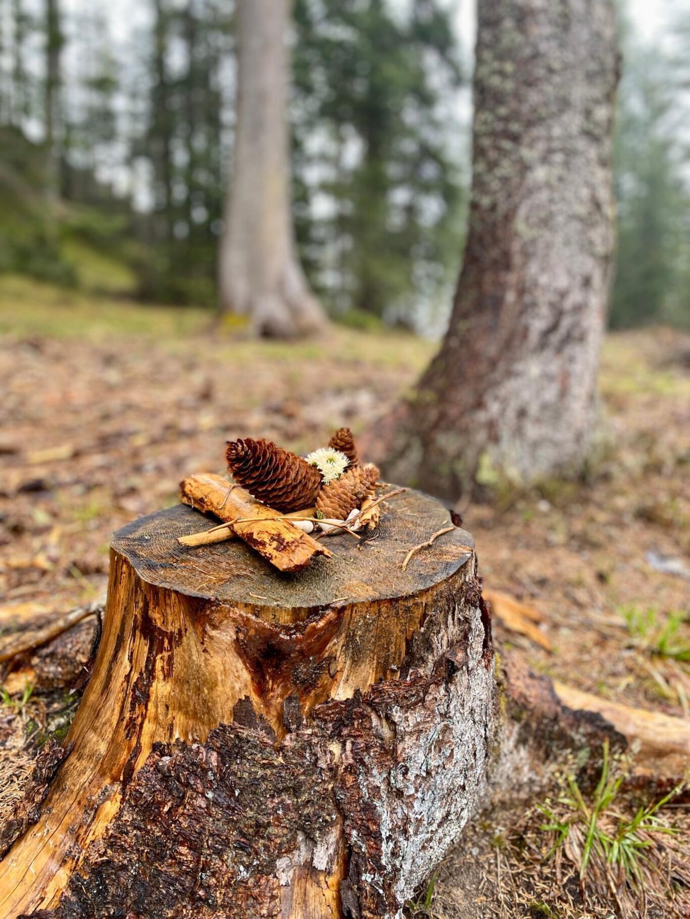 Relax, reset, restart