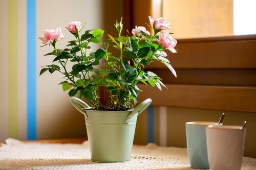 residence-panorama-hotel-mae-111 residence-panorama-hotel-mae-111