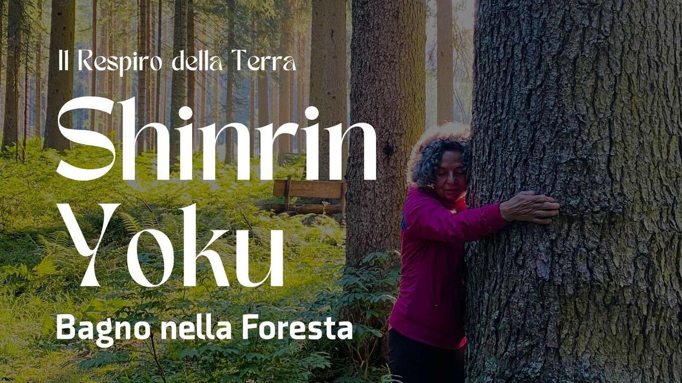 Shinrin Yoku - Bagno nella foresta