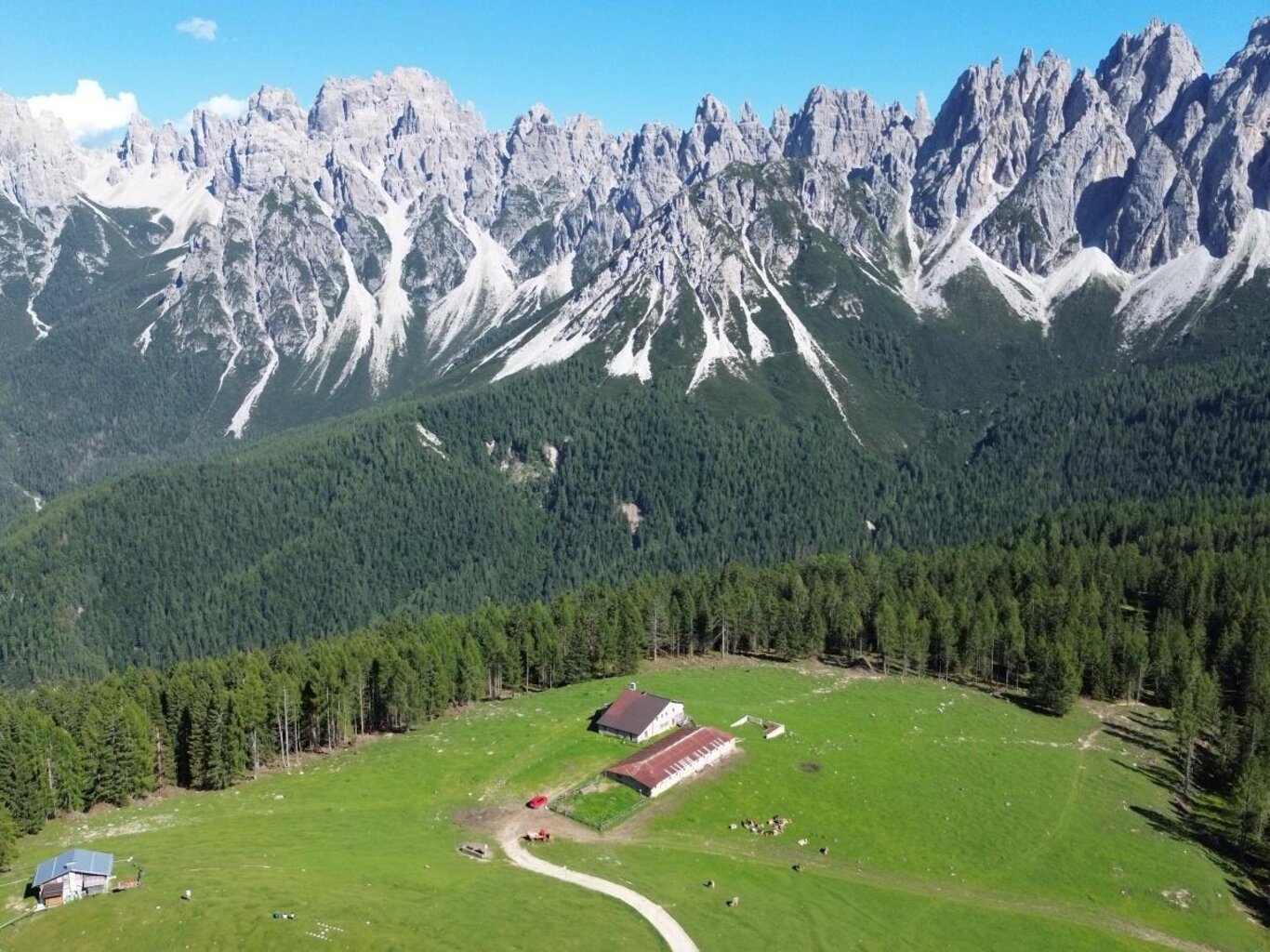 Tour in bicicletta elettrica con pranzo in malga