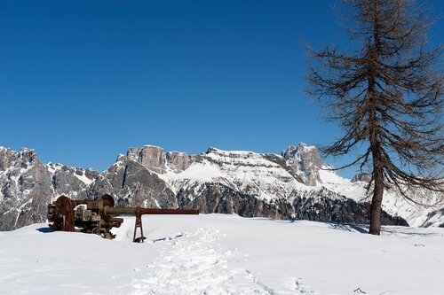 Snow